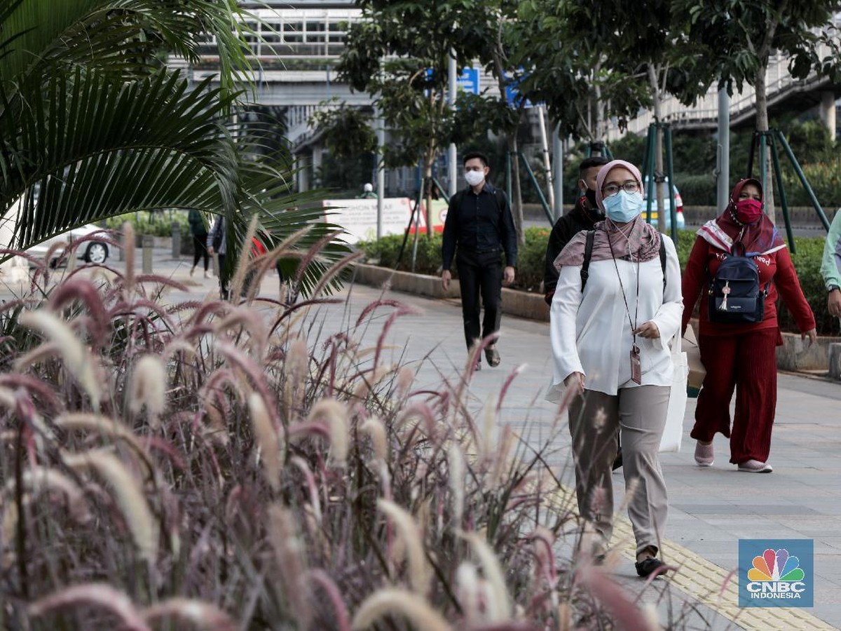 AI Diprediksi Otomatisasi Pekerjaan Kantoran dalam 12-18 Bulan Mendatang