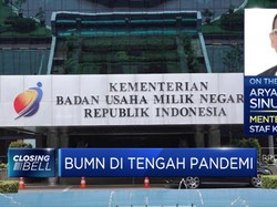 Ini Penjelasan Stafsus Menteri BUMN Soal PMN Baru Pemerintah