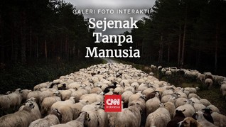 Sejenak Tanpa Manusia