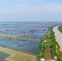 Penampakan Sawah Brebes, Calon Relokasi Pabrik AS dari China