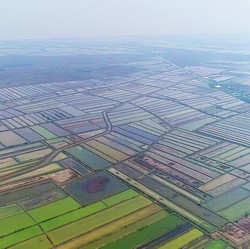 Brebes Bakal Disalip Batang Jadi Lokasi Pabrik-Pabrik AS?