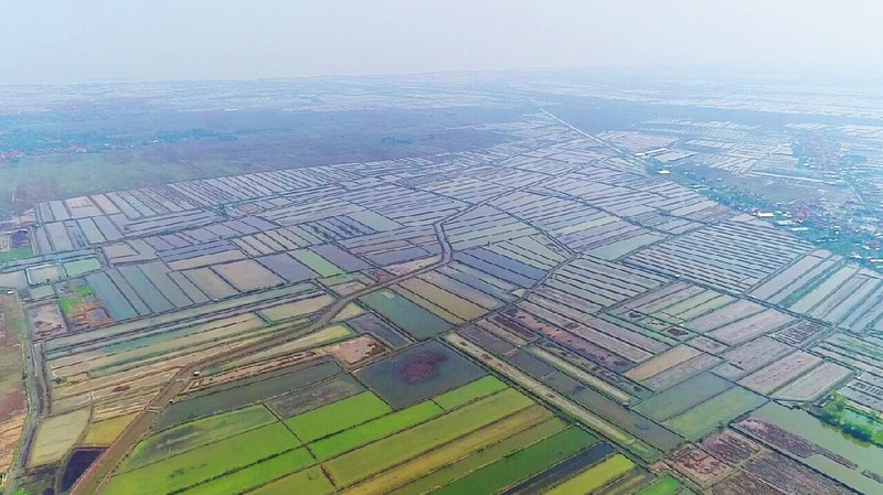 Brebes Disiapkan Jadi Lokasi Pindah Pabrik AS dari China. Ist