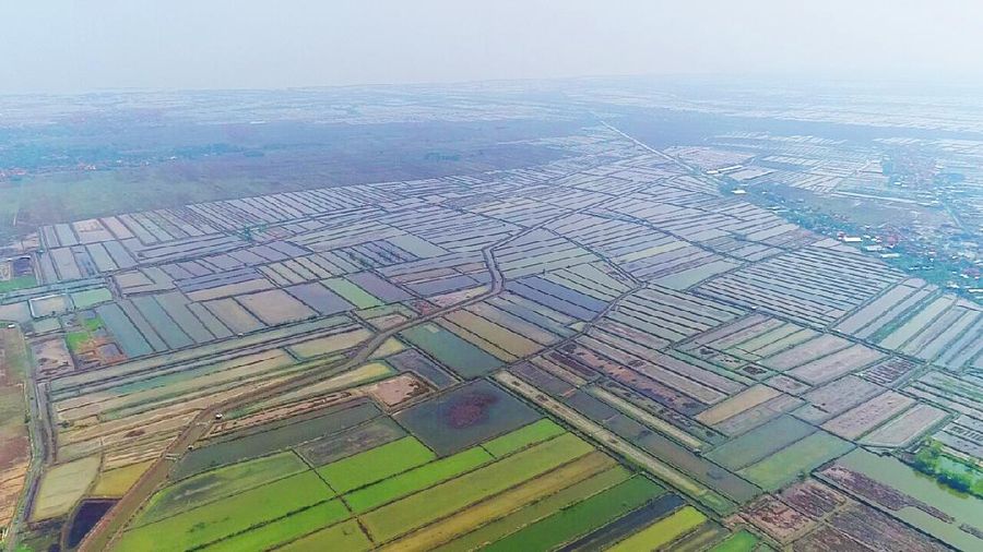 Brebes Disiapkan Jadi Lokasi Pindah Pabrik AS dari China. PT KIW