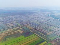 Brebes Bakal Disalip Batang Jadi Lokasi Pabrik-Pabrik AS?
