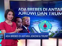 Ada Brebes di Antara Jokowi dan Trump