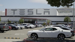Donald Trump Bela Tesla yang Buka Pabrik Saat Lockdown