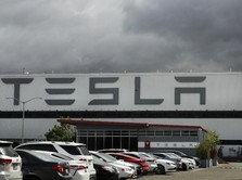 Sederet Alasan Kenapa Tesla Mau Bangun Pabrik di RI