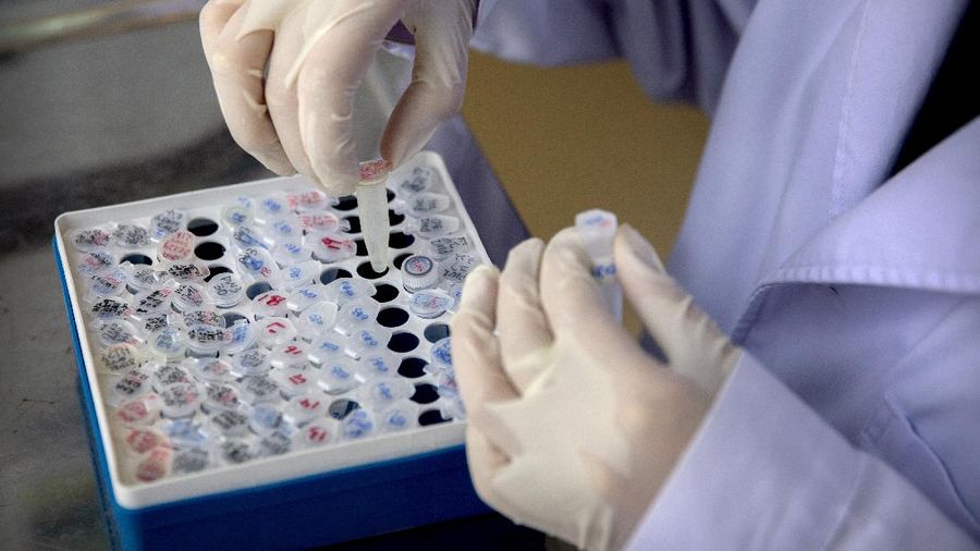 An employee works in a research and development lab of Beijing Applied Biological Technologies, a firm which is developing COVID-19 molecular diagnostic test kits, during a government organized tour for journalists in Beijing, Thursday, May 14, 2020. China reported three new coronavirus cases Thursday while moving to reopen for business and schools. (AP Photo/Mark Schiefelbein)