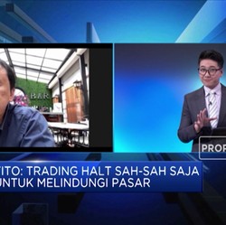 Tito Sulistio: Intervensi Pasar Modal Sebaiknya Dibatasi