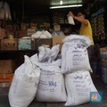 Bos Bulog Berambisi Genjot Produksi Pangan dari Sagu