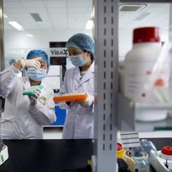 China Temukan Virus Corona Baru, AS Respons Begini