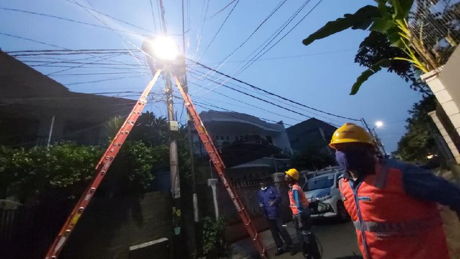 Dok: PLN