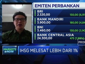 Analis:Investor Asing Respon Negatif Pembentukan Bank Jangkar