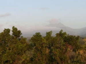 4 Fakta Menarik Gunung Wilis, Surga Tersembunyi Bagi Pendaki