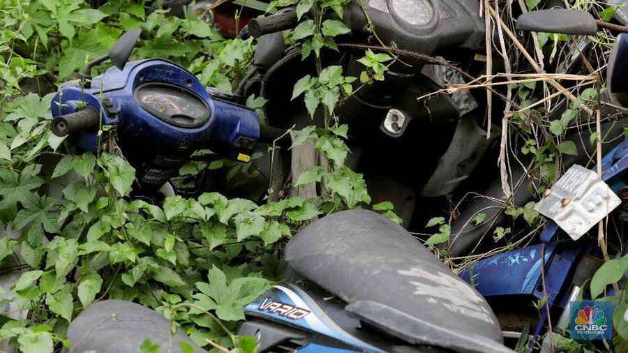 Sepeda motor terlihat diantara ilalang di tempat penampungan di Jalan Perjuangan, Teluk Pucung, Bekasi Utara, Jawa Barat, Indonesia, Kamis, 21 Mei 2020. Sepeda motor tersebut merupakan hasil razia dan korban kecelakaan lalu linta di wilayah Bekasi Kota. Motor tersebut menjadi rongsok hingga berkarat. Menurut data Korlantas Polri sepeda motor tercatat sebagai penyumbang besar angka kecelakaan lalu lintas dengan jumlah 35.980 pada triwulan II-2019, jumlah tersebut menurut dibanding triwulan I-2019 dengan jumlah 36.358.  (CNBC Indonesia/ Andrean Kristianto)