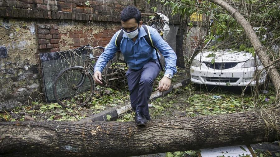 A man makes his way tpast a tree fallen in the middle of a road after Cyclone Amphan hit the region in Kolkata, India, Thursday, May 21, 2020. A powerful cyclone ripped through densely populated coastal India and Bangladesh, blowing off roofs and whipping up waves that swallowed embankments and bridges and left entire villages without access to fresh water, electricity and communications. (AP Photo/Bikas Das)