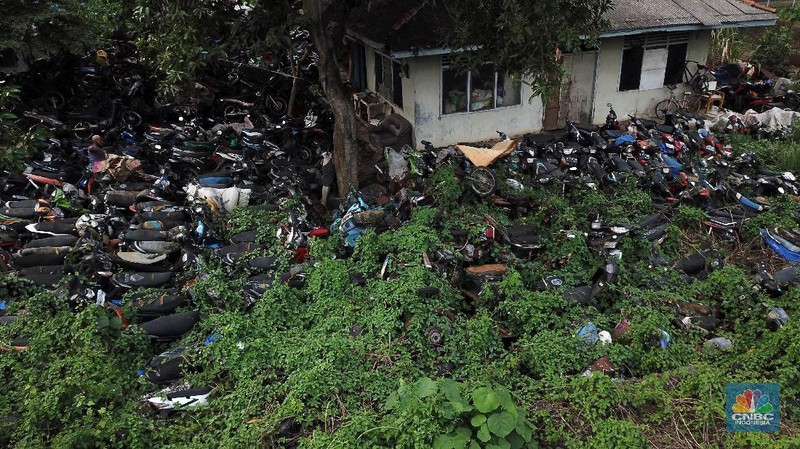 Sepeda motor terlihat diantara ilalang di tempat penampungan di Jalan Perjuangan, Teluk Pucung, Bekasi Utara, Jawa Barat, Indonesia, Kamis, 21 Mei 2020. Sepeda motor tersebut merupakan hasil razia dan korban kecelakaan lalu linta di wilayah Bekasi Kota. Motor tersebut menjadi rongsok hingga berkarat. Menurut data Korlantas Polri sepeda motor tercatat sebagai penyumbang besar angka kecelakaan lalu lintas dengan jumlah 35.980 pada triwulan II-2019, jumlah tersebut menurut dibanding triwulan I-2019 dengan jumlah 36.358.  (CNBC Indonesia/ Andrean Kristianto)