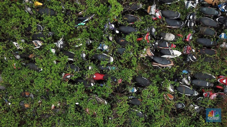Sepeda motor terlihat diantara ilalang di tempat penampungan di Jalan Perjuangan, Teluk Pucung, Bekasi Utara, Jawa Barat, Indonesia, Kamis, 21 Mei 2020. Sepeda motor tersebut merupakan hasil razia dan korban kecelakaan lalu linta di wilayah Bekasi Kota. Motor tersebut menjadi rongsok hingga berkarat. Menurut data Korlantas Polri sepeda motor tercatat sebagai penyumbang besar angka kecelakaan lalu lintas dengan jumlah 35.980 pada triwulan II-2019, jumlah tersebut menurut dibanding triwulan I-2019 dengan jumlah 36.358.  (CNBC Indonesia/ Andrean Kristianto)