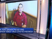 Eijkman Targetkan Bibit Vaksin Corona Siap Sebelum Maret 2021