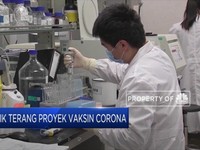 Titik Terang Proyek Vaksin Corona