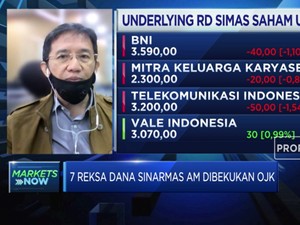 Analis:Pembekuan 7 Produk RD Sinarmas Bersifat Administratif