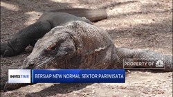 Jokowi Siapkan 'New Normal' di Sektor Pariwisata