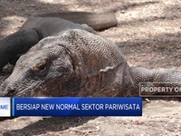Jokowi Siapkan 'New Normal' di Sektor Pariwisata