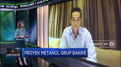 Anindya Bakrie: Operasional Proyek Metanol Dimulai Q1-2024