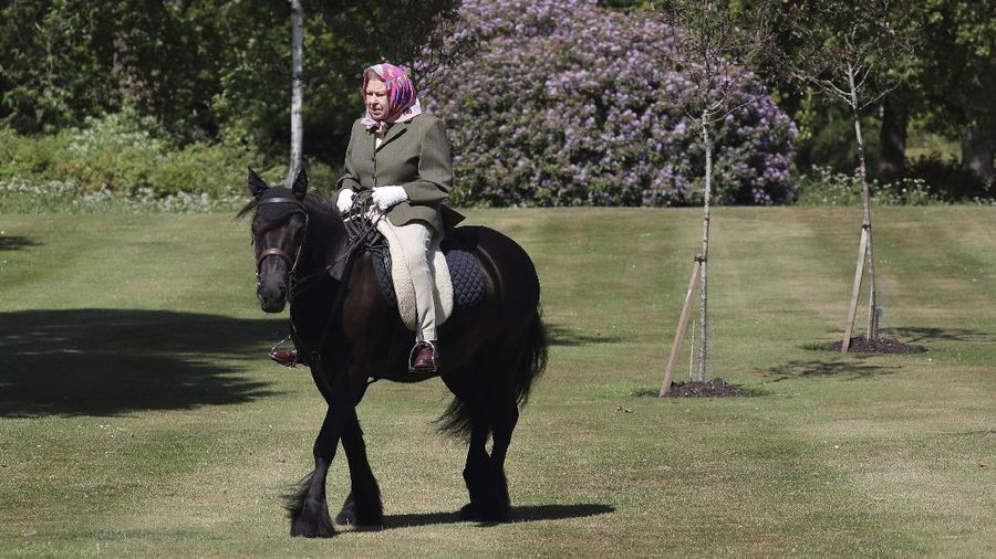 EMBARGOED: Not for publication or onward transmission before 2230 BST Sunday May 31, 2020. In this photo released Sunday May 31, 2020, Britain's Queen Elizabeth II rides Balmoral Fern, a 14-year-old Fell Pony, in Windsor Home Park over the weekend at the end of May, in Windsor, England. The Queen has been in residence at Windsor Castle during the COVID-19 coronavirus pandemic. (Steve Parsons/Pool via AP)