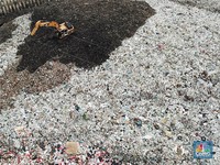 Tumpukan Sampah TPA Cipeucang yang Picu Bau Busuk Hingga BSD
