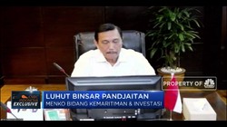 Menko Luhut: Potensi Investasi Capai USD 100 M Hingga 2024