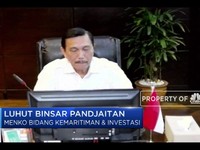 Menko Luhut: Potensi Investasi Capai USD 100 M Hingga 2024