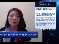 Begini Pandemi Corona Pengaruhi 3 Pilar Bisnis Utama SSIA