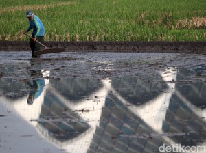 Peran Penting Irigasi Jaga Produksi Pangan saat El Nino