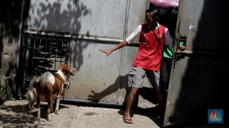Penampungan Anjing di Pejaten Shelter Akibat Pandemi. CNBC Indonesia/Muhammad Sabki