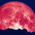 Akhir Juni, Ada 1 Malam Terbaik Lihat Strawberry Moon & Parade Langit