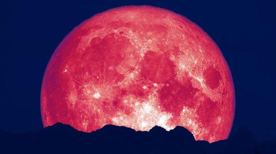 Ilustrasi Strawberry Full Moon. foto/istockphoto