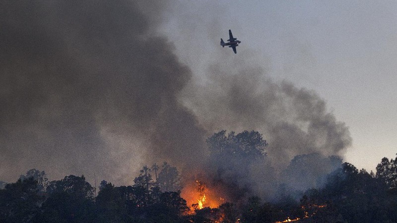 Kebakaran Hutan California. AP/Noah Berger