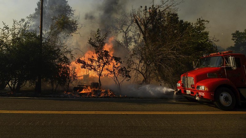 Kebakaran Hutan California. AP/Noah Berger