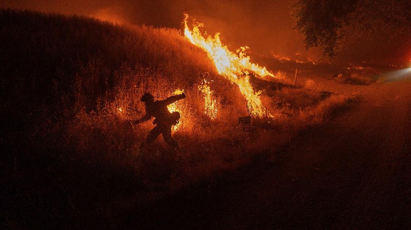 Kebakaran Hutan California. AP/Noah Berger