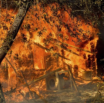 Melihat Dahsyatnya Kebakaran Hutan di California