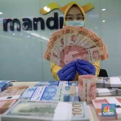 Perbankan Indonesia Rapuh di Tengah Pandemi? Cek Data Ini