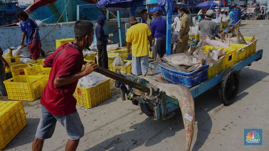 Pasar Lelang Ikan Muara Angke (CNBC Indonesia/Tri Susilo)