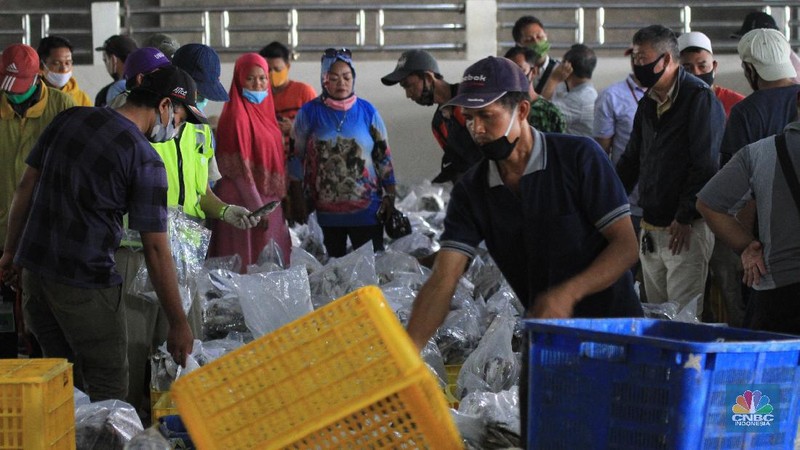 Pasar Lelang Ikan Muara Angke (CNBC Indonesia/Tri Susilo)