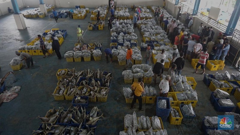 Pasar Lelang Ikan Muara Angke (CNBC Indonesia/Tri Susilo)