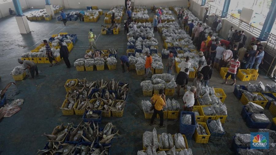 Pasar Lelang Ikan Muara Angke (CNBC Indonesia/Tri Susilo)