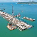 Lowongan CPNS Kemenhub: Ada 2.445 Formasi Nih