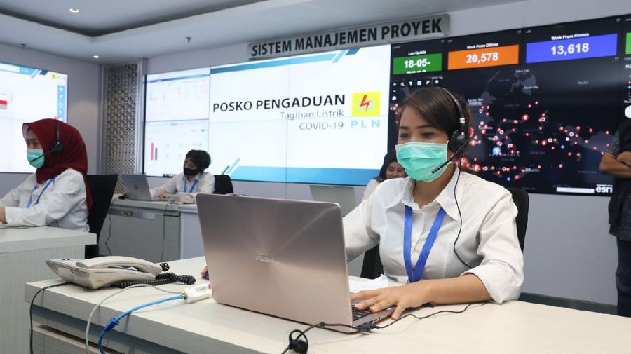 Dok: PLN