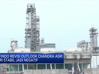 Pefindo Revisi Outlook Chandra Asri dari Stabil Jadi Negatif