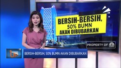 Bersih-bersih, 50% BUMN Akan Dibubarkan